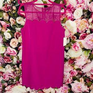 Alex Marie Magenta Scallop Trim Dress Size 10